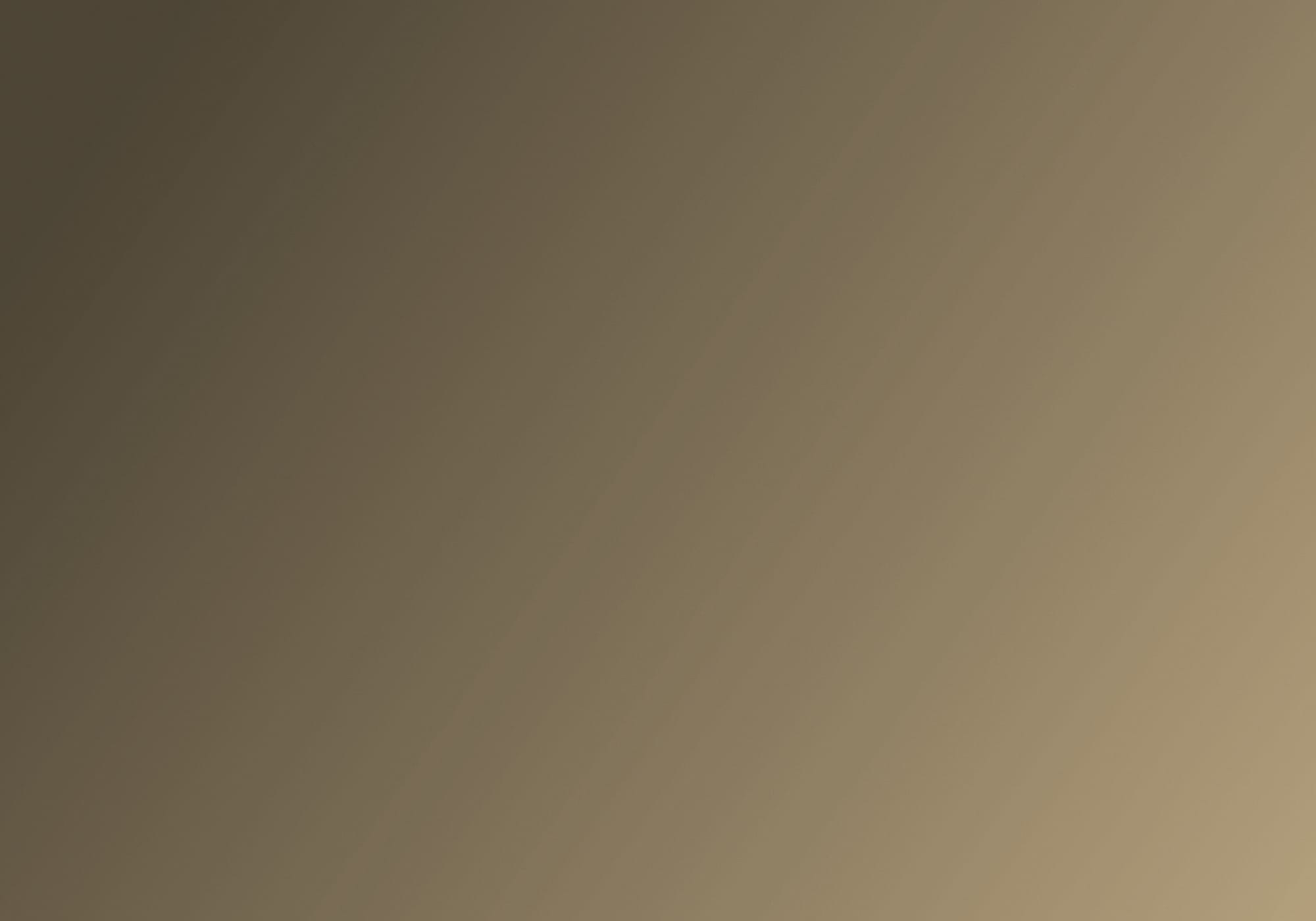 Whitefort Risk Services LLC